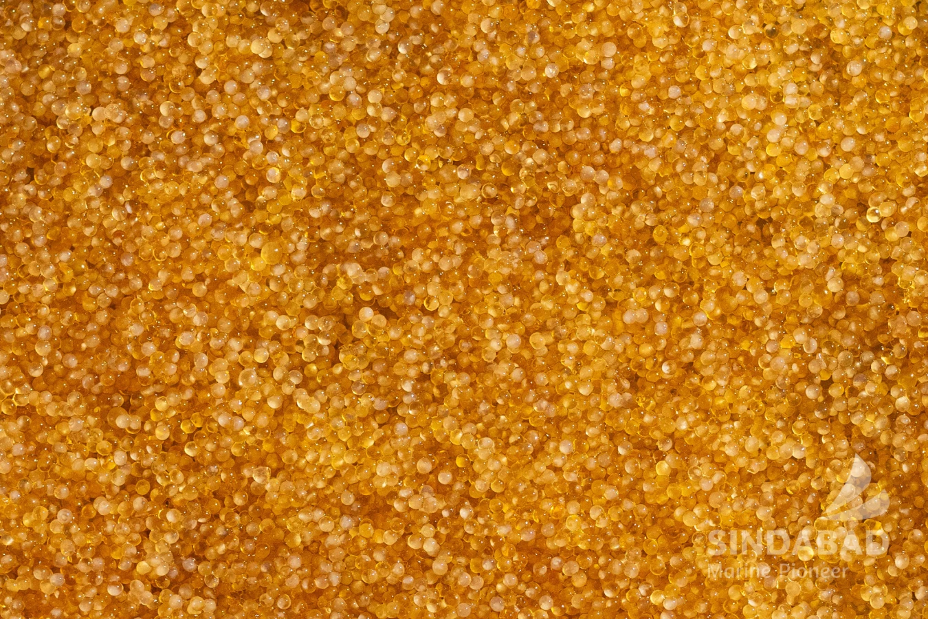 Product ( Frozen - Fresh Flying Fish Roe )