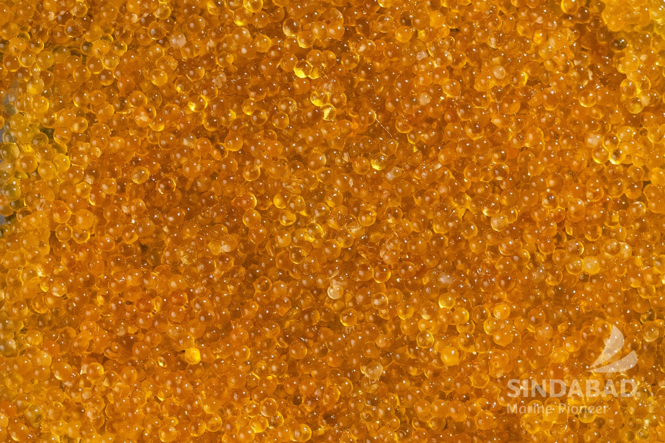 Product ( Frozen - Fresh Flying Fish Roe )
